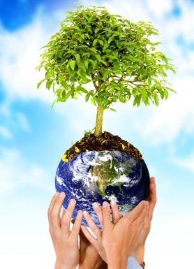 حول التسمية